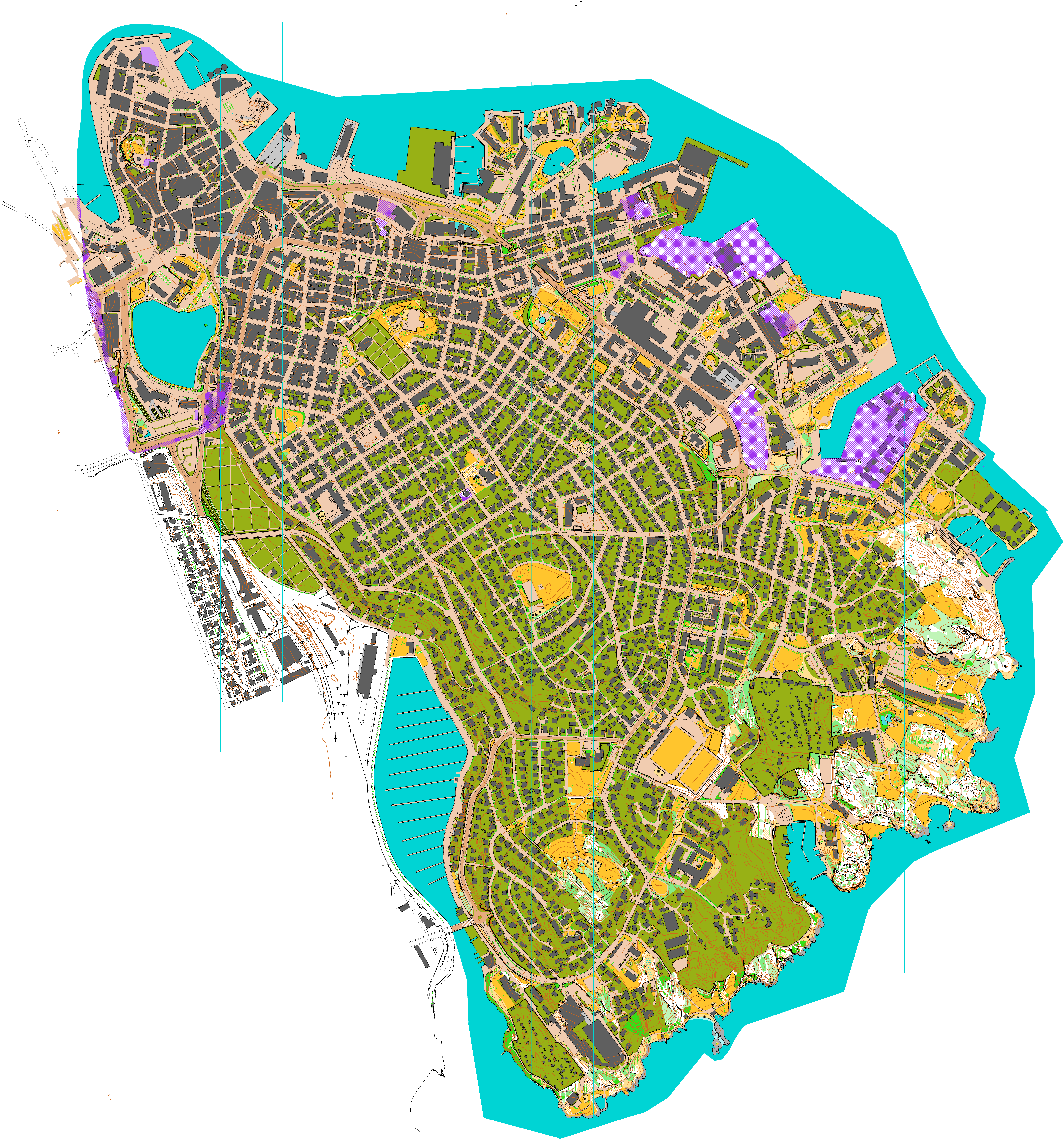 Course map